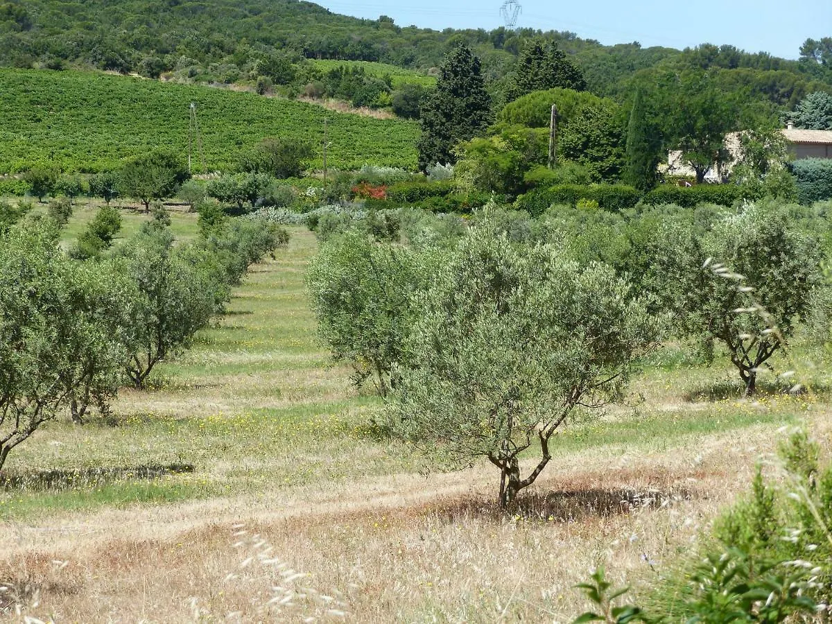 Gite Du Soleil Rochegude  France
